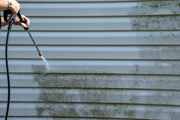 Best Same-Day Junk Removal Services  in Wona Lake, IN