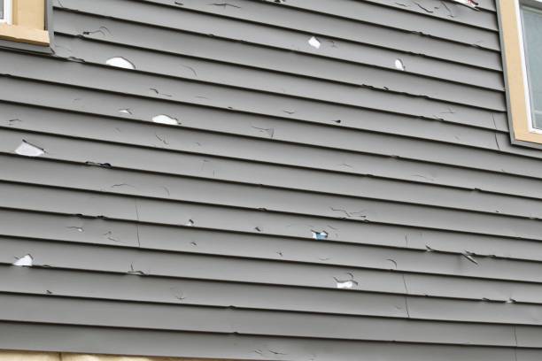 Best Attic Cleanout  in Wona Lake, IN